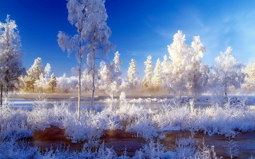 Картинка природа зима снег деревья