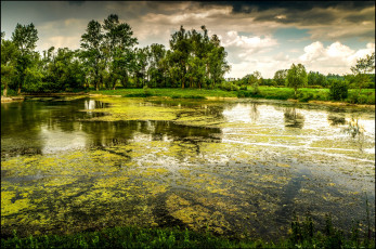 Картинка природа реки озера лес река