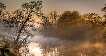 Картинка природа реки озера лес река