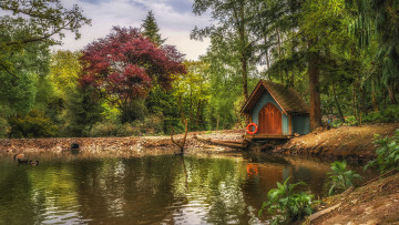 Картинка природа реки озера лес река