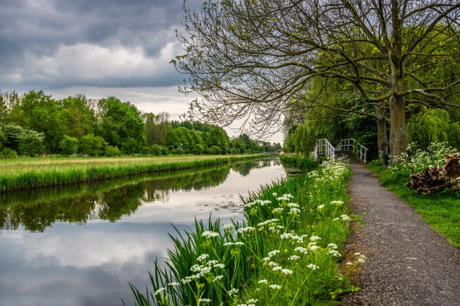 Обои картинки фото природа, реки, озера, лес, река