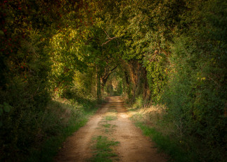 Картинка природа дороги простор