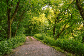 Картинка природа дороги простор