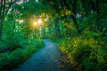 Картинка природа дороги простор