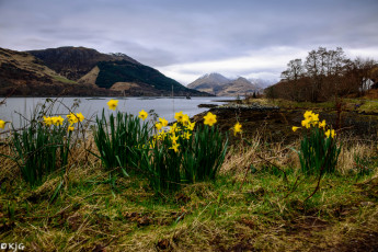 Картинка природа луга простор