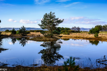 Картинка природа реки озера простор