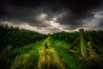 Картинка природа пейзажи простор