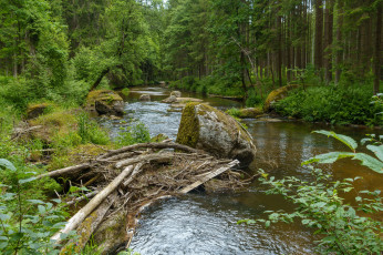 Картинка природа реки озера простор