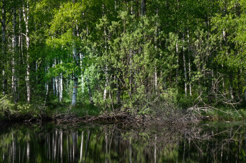 Картинка природа реки озера простор