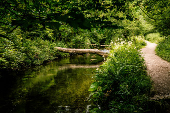 Картинка природа реки озера простор