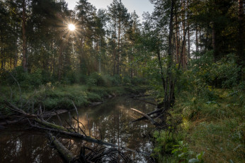 Картинка природа реки озера простор