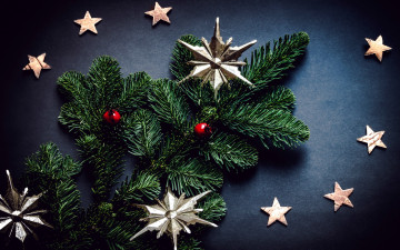 Картинка праздничные украшения ветка звездочки
