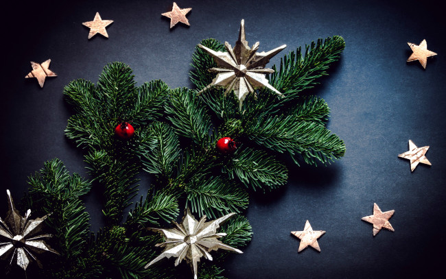 Обои картинки фото праздничные, украшения, ветка, звездочки
