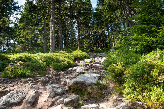 Обои картинки фото природа, реки, озера, простор