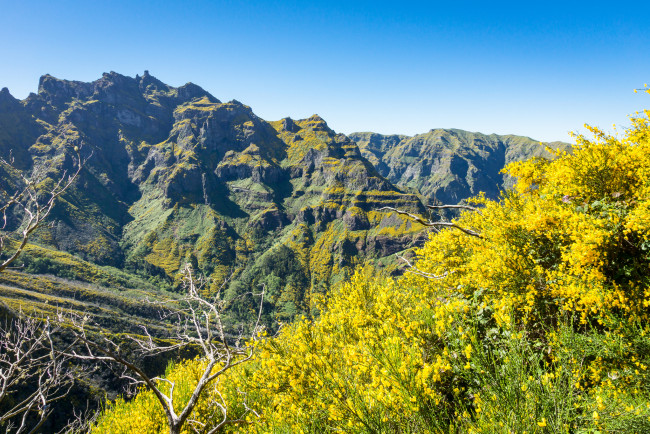 Обои картинки фото природа, горы, простор