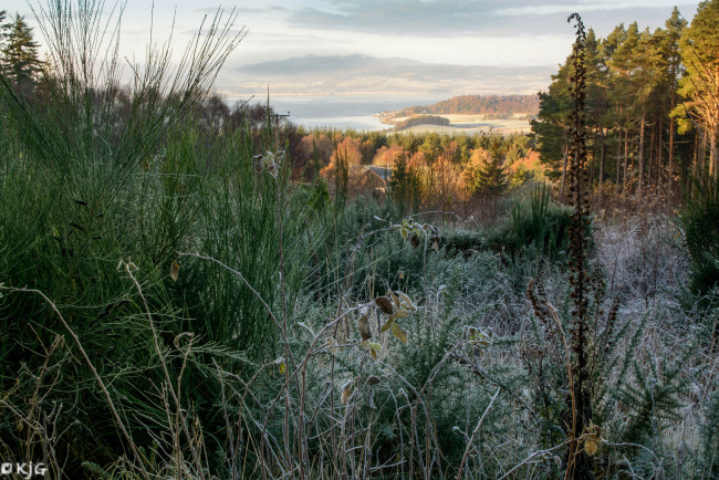 Обои картинки фото природа, пейзажи, простор