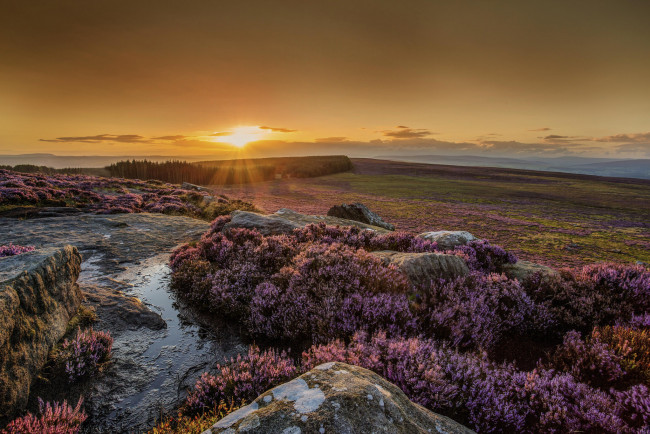 Обои картинки фото природа, восходы, закаты, простор