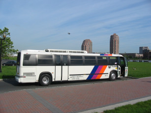 Картинка автомобили автобусы