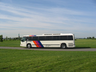 Картинка автомобили автобусы