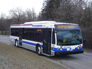 Картинка автомобили автобусы