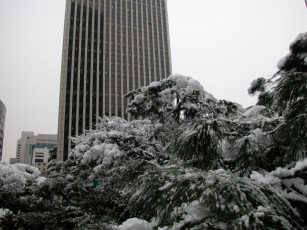Картинка города здания дома
