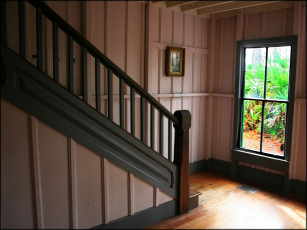 Картинка разное