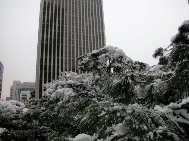Обои картинки фото города, здания, дома