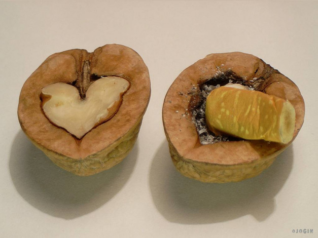 Обои картинки фото юмор, приколы