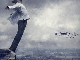 Картинка aj3 музыка animal джаz