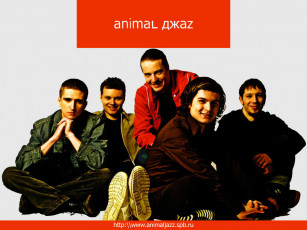 обоя animal, джаzz1, музыка, джаz