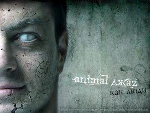 обоя animal, джаzz2, музыка, джаz