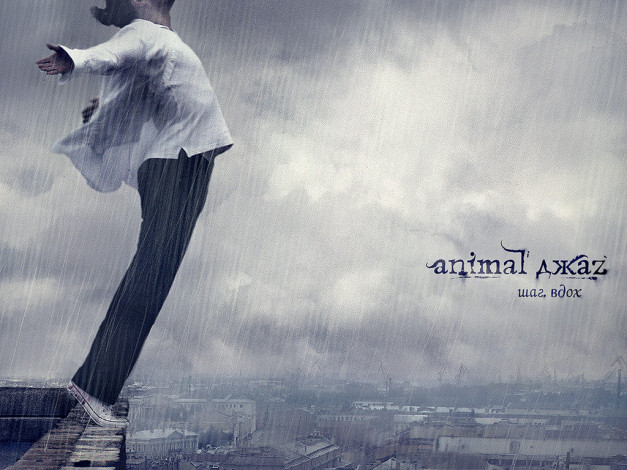 Обои картинки фото aj3, музыка, animal, джаz