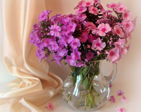 Картинка авт izumrudinka2009 цветы флоксы