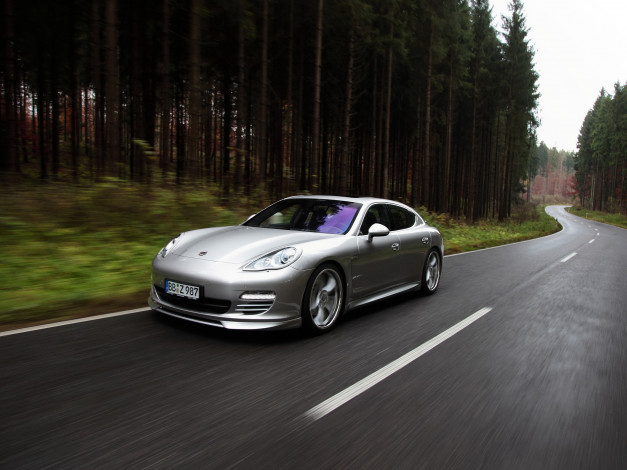 Обои картинки фото автомобили, porsche