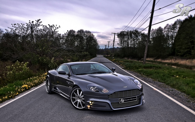 Обои картинки фото автомобили, aston, martin