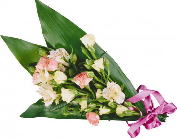 Обои картинки фото цветы, букеты, композиции, альстромерия, розы, ленточка