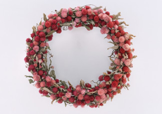 Картинка цветы бессмертник венок бутоны лепестки