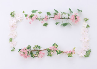 Картинка цветы разные вместе цветки узор лепестки