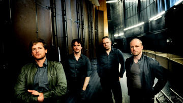 Картинка racoon музыка альтернативный рок нидерланды