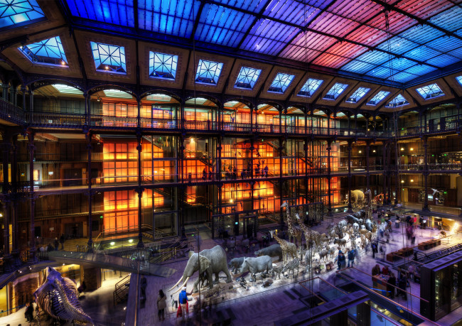 Обои картинки фото интерьер, дворцы, музеи, париж, франция, экспонаты