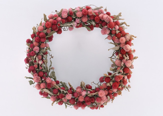 Обои картинки фото цветы, бессмертник, венок, бутоны, лепестки