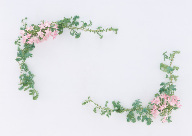 Обои картинки фото цветы, букеты, композиции, лепестки, узор, цветки