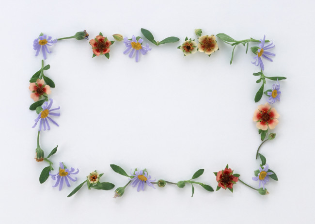 Обои картинки фото цветы, разные, вместе, цветки, узор, лепестки