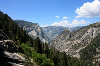 Картинка yosemite+national+park природа горы сша калифорния ели лес yosemite парк