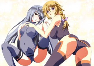 Картинка аниме infinite+stratos эротика laura bodewig charles dunois девушки