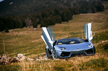 Картинка автомобили lamborghini roadster lp700-4 front ligth nature aventador door silver supercars