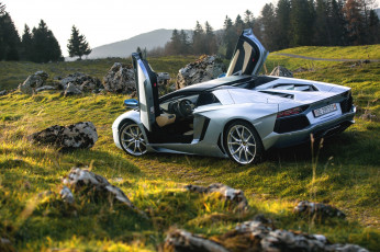Картинка автомобили lamborghini supercars roadster lp700-4 aventador rear nature door silver