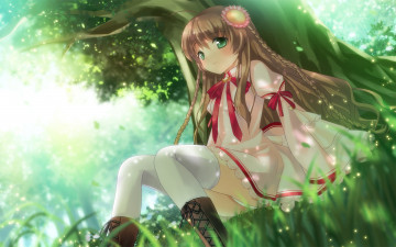 Картинка аниме rewrite девушка зелень дерево арт artist nor kanbe kotori растения