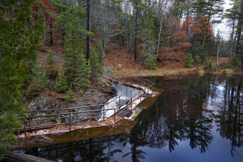 Картинка природа реки озера река лес дамба