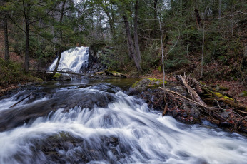 Картинка природа водопады водопад река лес